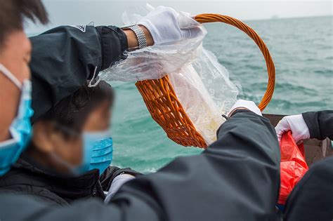 骨灰撒大海意義